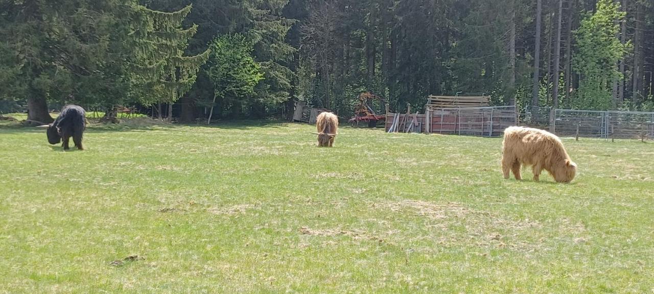 Ferienwohnung Gabi Forbach Zewnętrze zdjęcie
